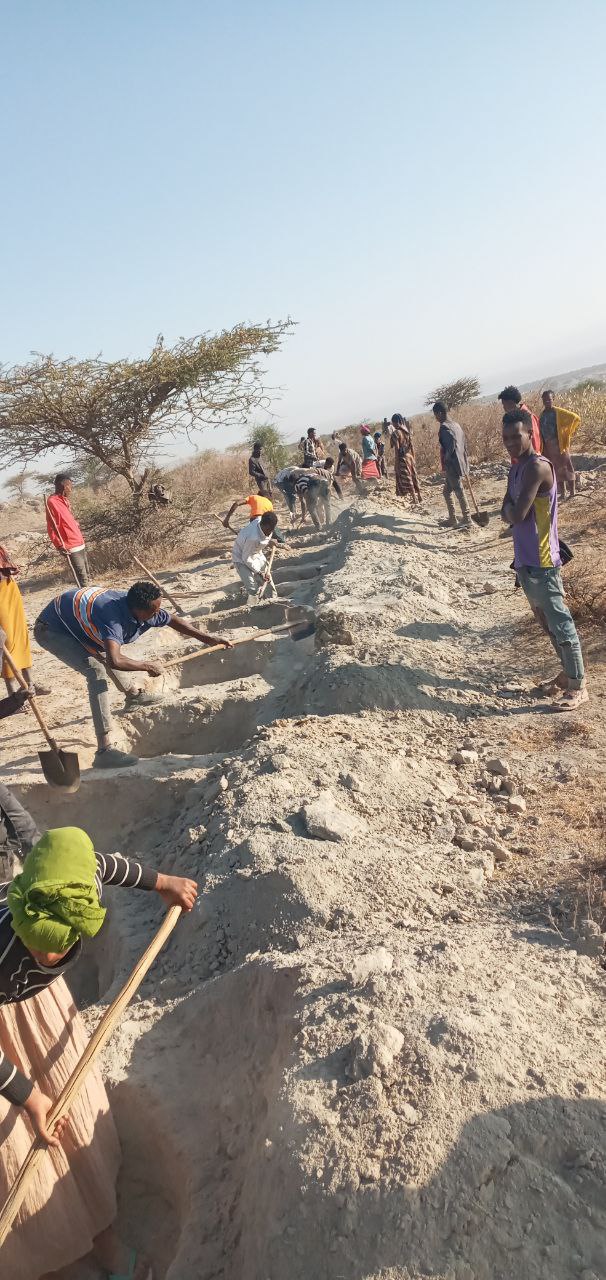 Poverty Alleviation